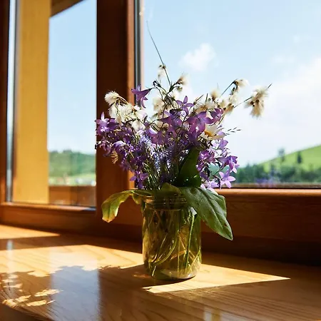 ヴィラ Panskyi Kut